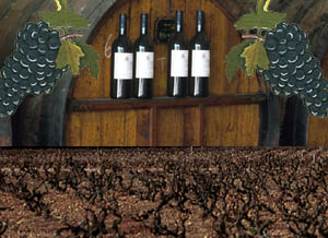 LACASSAGNE_DOMAINES_